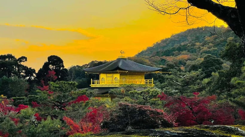 Kyoto: Private Customized Tour With English Speaking Guide - Pontocho Alley: scenic pass with that old-street rhythm