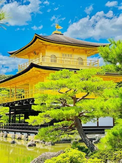 Kyoto: Private Customized Tour With English Speaking Guide - Fushimi Inari Taisha: torii gates for sweeping lines and close-up drama