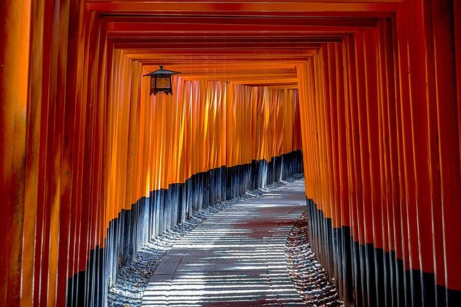 Kyoto: Private Flexible 3 hours tour with a local guide - Timing, Weather, and Footwear: The Unwritten Part