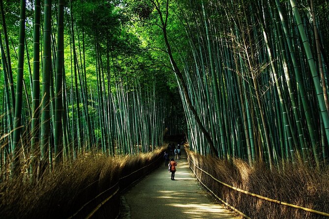 Kyoto: Private Flexible 3 hours tour with a local guide - Book It or Pass: My Honest Recommendation