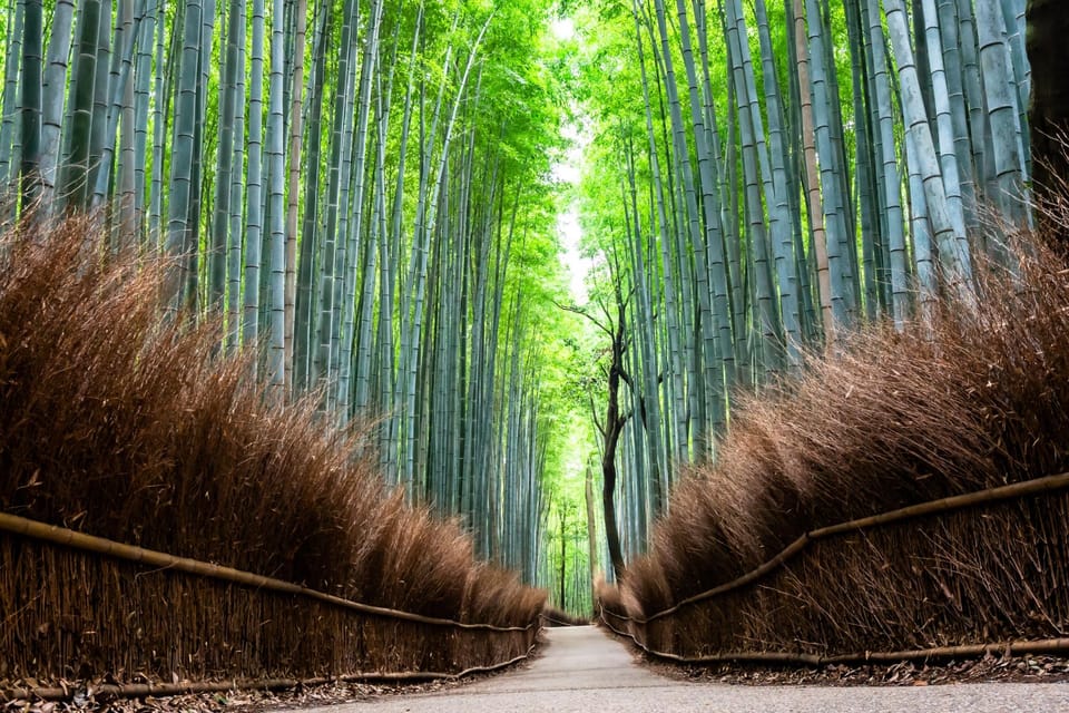 Kyoto: Private Full-Day Tour by Car - Food and Breaks: What’s Included, What’s Up to You