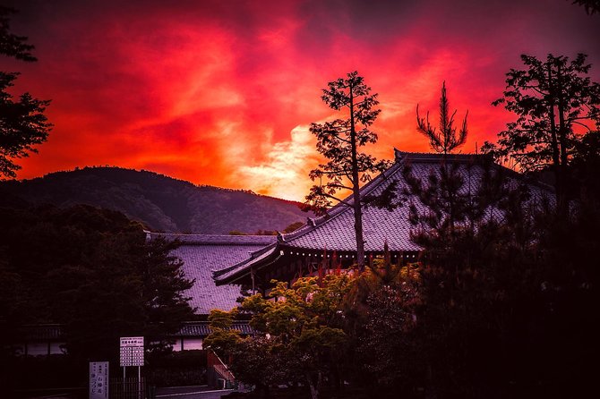 Kyoto Private Night Tour with a Local – Bars, Bites & Culture - Pontocho and the river-street mood: why night feels different here