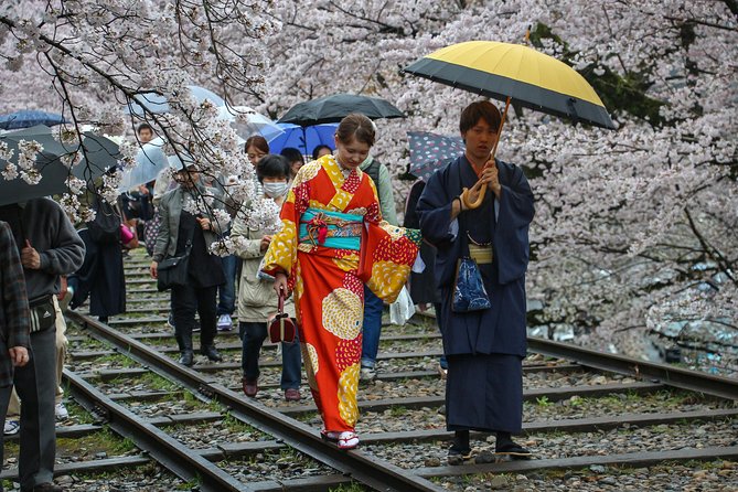 Kyoto Private & Personalized Half-Day Walking Tour with a Local - Timing, Pace, and What to Bring for a 3–4 Hour Walk