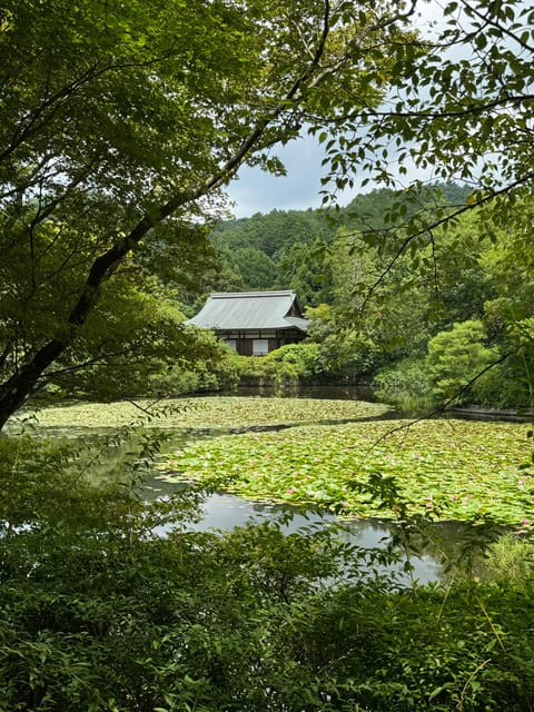 Kyoto: Ryōan-ji, Greatest Zen Garden Guided Tour in 90 Min. - Key moments that make this Ryōan-ji tour worth it