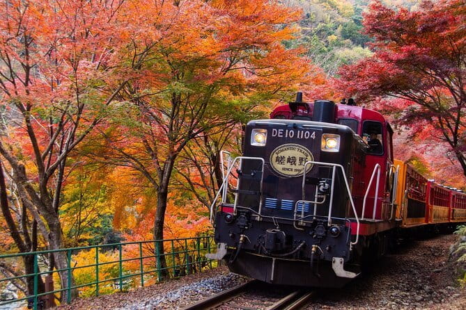 Kyoto Sagano Romantic Train in Arashiyama Bus Tour - Key Things You’ll Notice on This Arashiyama Day