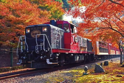 Kyoto Sagano Romantic Train in Arashiyama Bus Tour - Tenryuji + Arashiyama Time: Getting Your Bamboo Forest Moment Without the Chaos