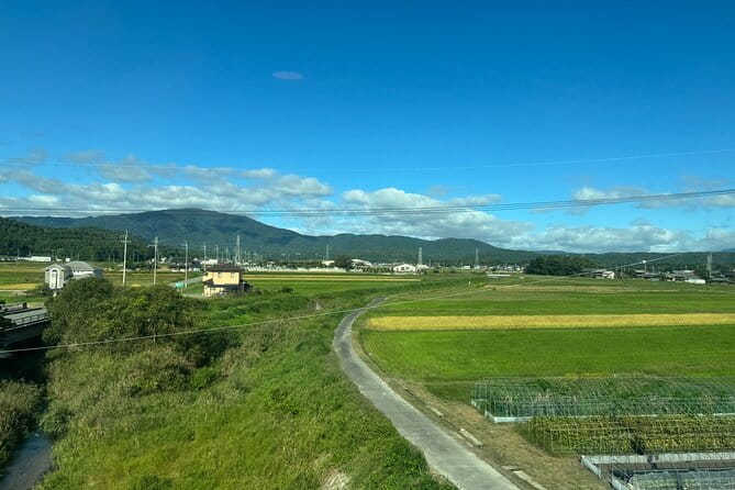 Kyoto Satoyama Cycling with Lunch and English Guide - Optional add-ons: kimono photo, koto, spring water, and Mt. Komugi