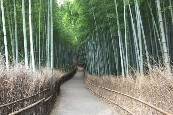 Kyoto Shogun Cycling Tour - The guide factor: English, humor, and route smarts (Seiya, Makoto, Nozomi and more)