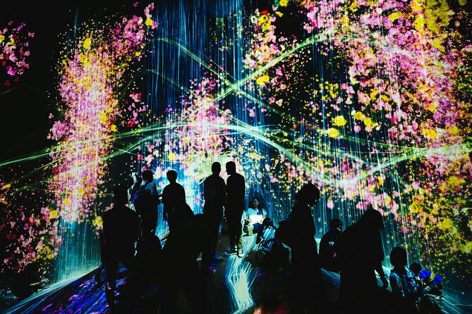 Kyoto TeamLab Biovortex & Kyoto Walking Tour - Key highlights you’ll feel right away