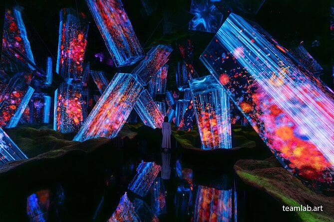 Kyoto TeamLab Biovortex & Kyoto Walking Tour - Price and timing: what $72 buys in Kyoto
