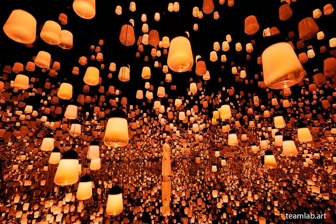 Kyoto TeamLab Biovortex & Kyoto Walking Tour - What to do before you go (so the day feels smooth)