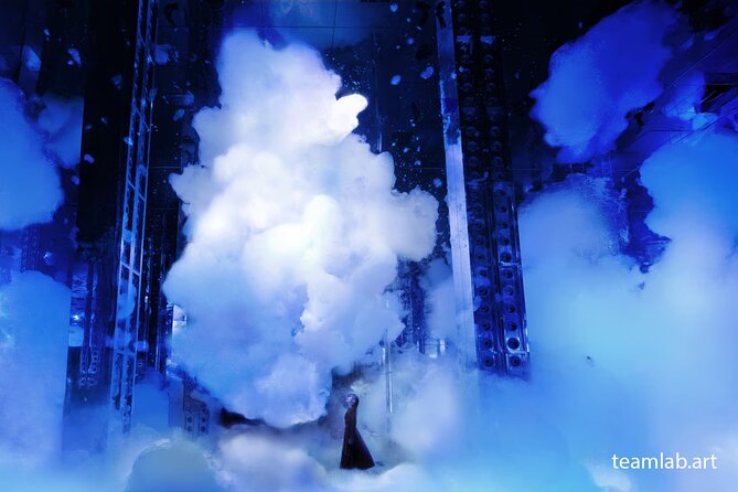 Kyoto TeamLab Biovortex & Kyoto Walking Tour - Should you book this Kyoto TeamLab + walking tour?