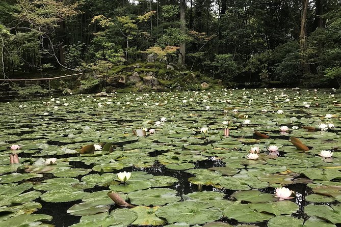 Kyoto: The Path Less Traveled (Private) - Start at Keage Station area, end near Umamchi Bus Stop