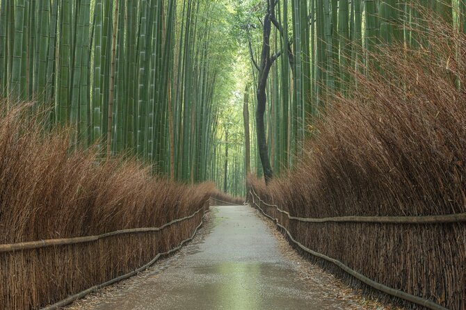 Kyoto top must-see Golden pavilion and Bamboo forest half-day Private tour - Golden Pavilion and Arashiyama Bamboo in One Easy Half-Day