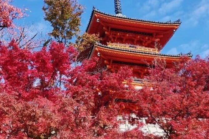 Kyoto tour 12 hours Private Nagoya pick up available - Why a private car day feels so much better in Kyoto