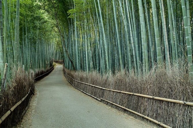 Kyoto Tour by Car from Kyoto Osaka Kobe - Your guide and driver: Mitsuyuki Nishikawa’s approach