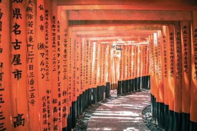 Kyoto tour with English Speaking Chauffeur - Price and Logistics: What $500 Per Group Gets You