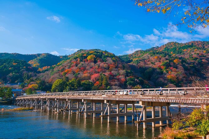 Kyoto tour with English Speaking Chauffeur - Gion at a Walkable Pace: Historic Streets and Tea House Area Vibes