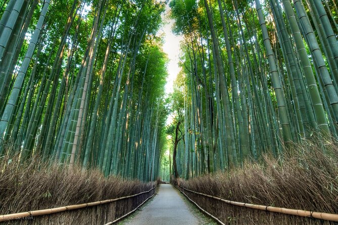 Kyoto tour with English Speaking Chauffeur - Fushimi Inari-taisha: Senbon Torii and a Photo-Driven Stop