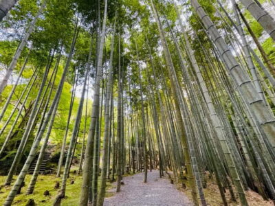Kyoto : True Kyoto Avoid the crowds E-Bike Tour - Starting at Raku-chari Sanjo: your ride begins here