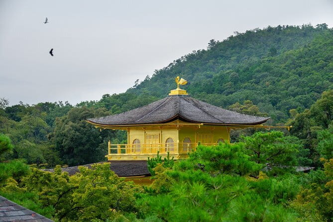 Kyoto & Uji: Full Day Sightseeing Tour from Osaka or Kyoto - How the 9-hour schedule actually feels (and why time windows matter)