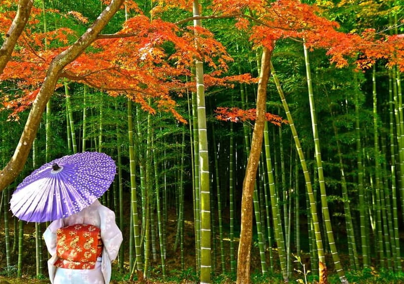Kyoto UNESCO World Heritage Sites 1d Tour from Osaka/Kyoto - Kicking off at Kinkakuji: Gold Pavilion + Mirror Pond