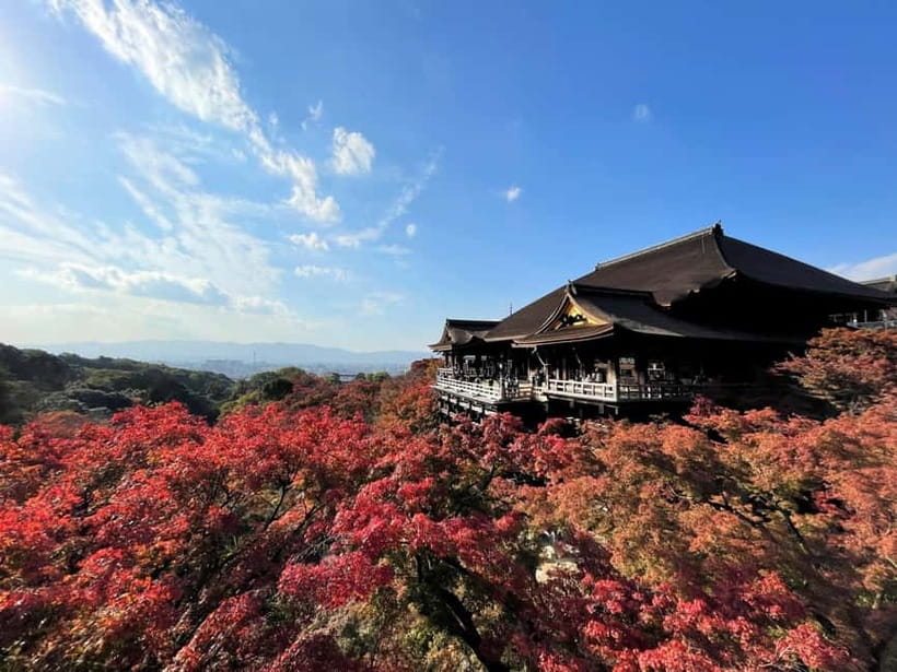 Kyoto UNESCO World Heritage Sites 1d Tour from Osaka/Kyoto - Arashiyama Bamboo Grove: How to time your photos and steps