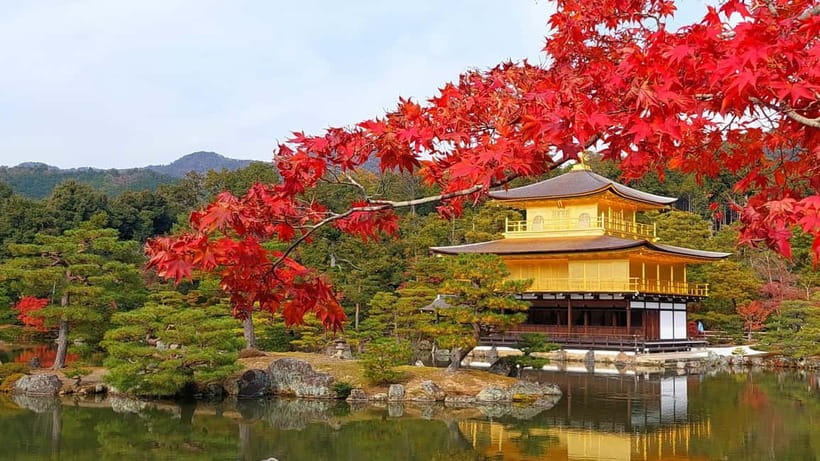 Kyoto UNESCO World Heritage Sites 1d Tour from Osaka/Kyoto - Sanjusangendo: 1,001 golden statues in a single hall
