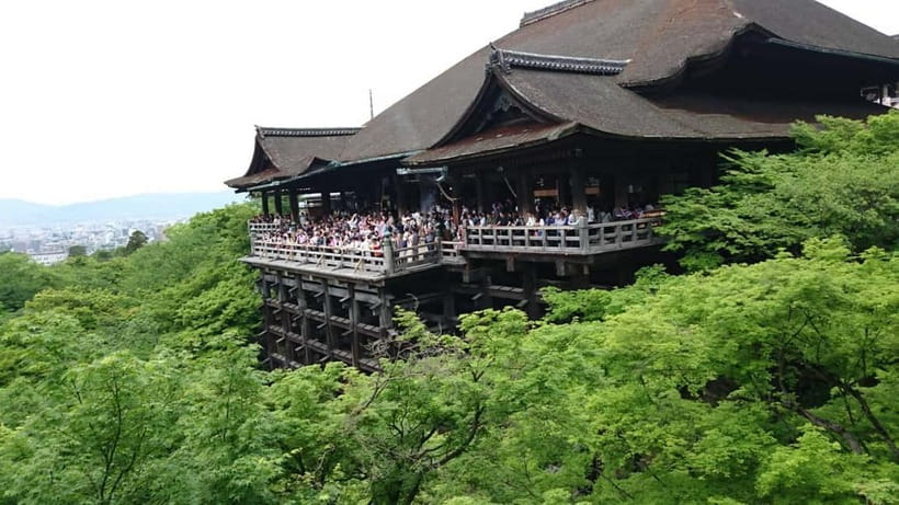 Kyoto: Walking tour Kiyomizu, Geisha District with a Local - Who This Kyoto Kiyomizu and Gion Walk Is Best For