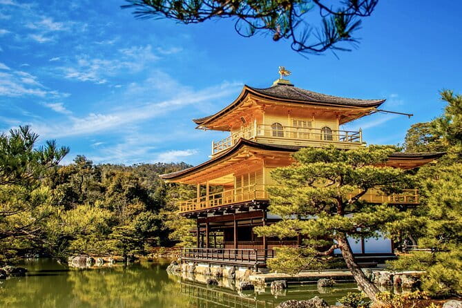 Kyoto&Nara Private Highlights Tour with English driver Pickup - What to Ask Your Driver Before You Start Walking