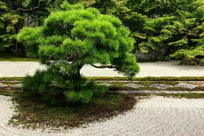 Kyoto&Nara Private Highlights Tour with English driver Pickup - Should You Book This Kyoto and Nara Private Highlights Tour?