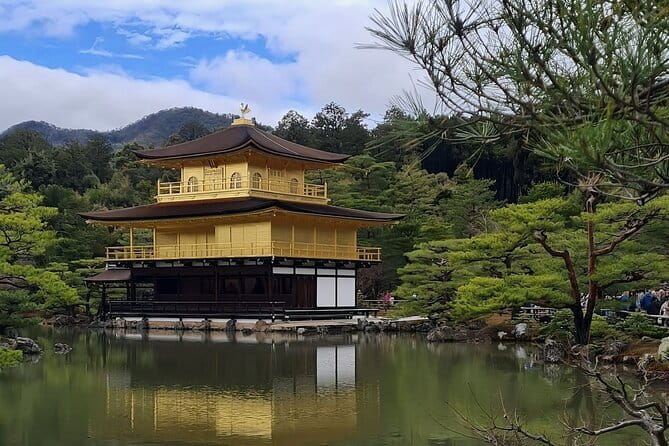 Kyoto&Nara&Osaka: One day private Customized Car tour - What I liked most: comfort and real flexibility