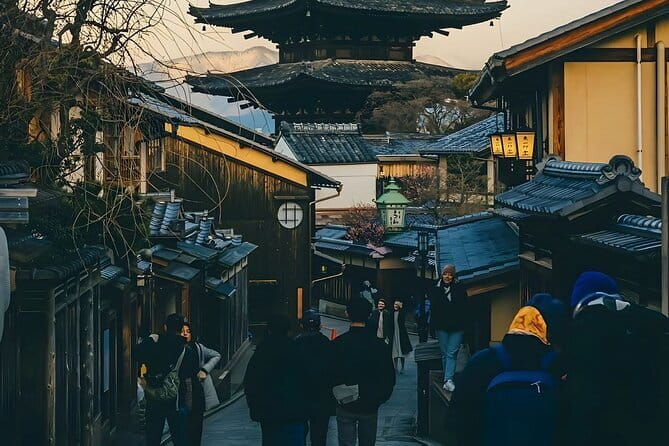 Kyoto&Nara&Osaka: One day private Customized Car tour - A practical consideration: tickets and meals aren’t part of the package