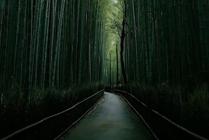 Kyoto&Nara&Osaka: One day private Customized Car tour - Why a private Kyoto car day beats train transfers