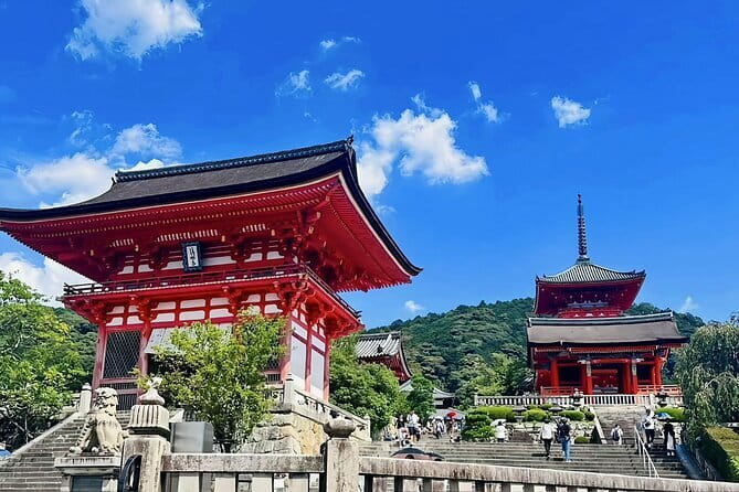 Kyoto&Nara&Osaka: One day private Customized Car tour - Fushimi Inari Shrine: a confident start to your Kyoto day