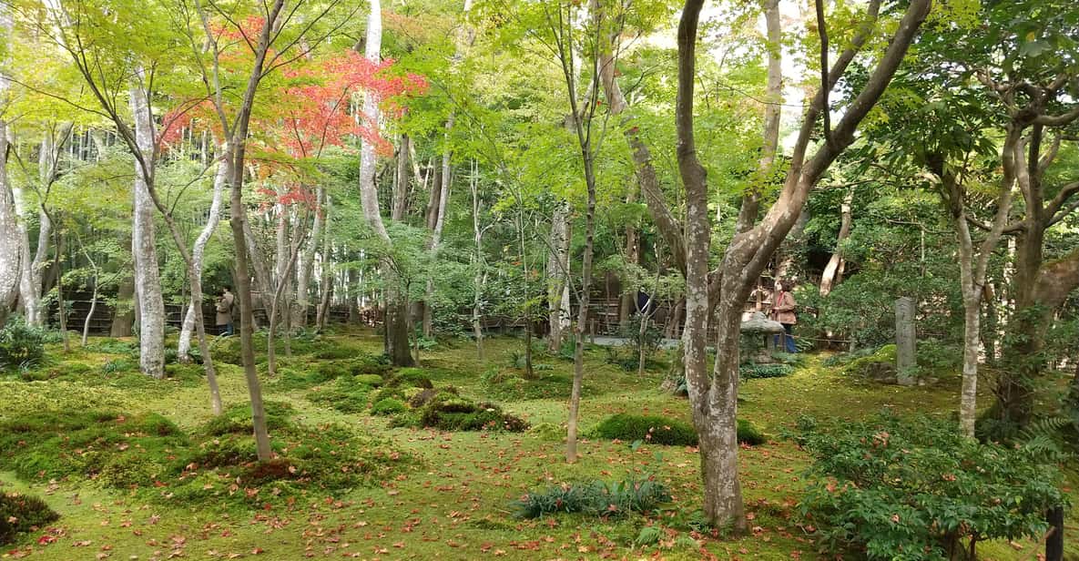 Kyoto:Quiet Arashiyama and Sagano Temples - A Quiet Arashiyama and Sagano Walk That Feels Personal