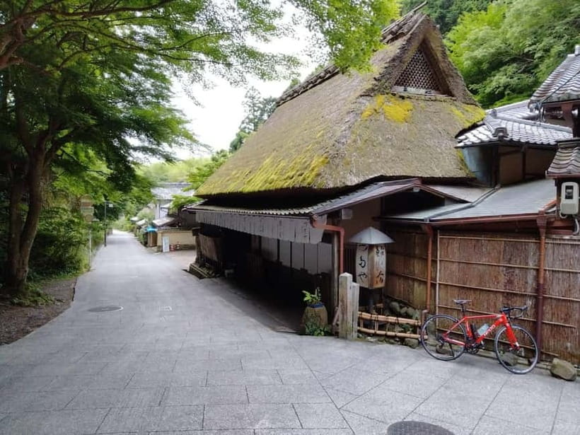Kyoto:Quiet Arashiyama and Sagano Temples - What the Tour Feels Like in Real Life (Not Just on Paper)