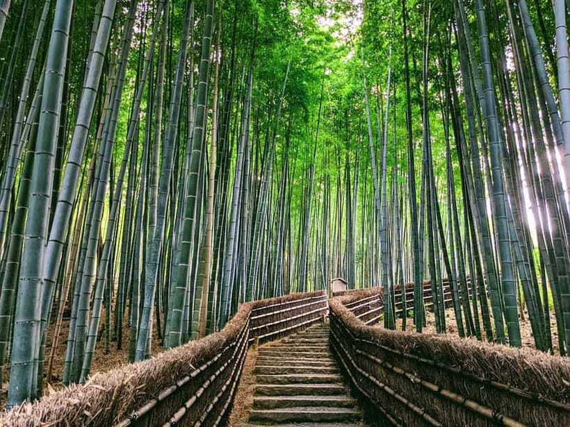 Kyoto:Quiet Arashiyama and Sagano Temples - Who Should Book This Kyoto Temple Walk