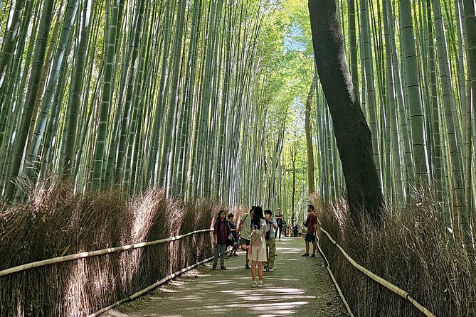 Kyoto's Arashiyama Bamboo Grove: 3-Hour Guided Tour - Key things to know before you go