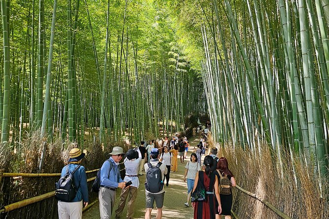 Kyoto's Arashiyama Bamboo Grove: 3-Hour Guided Tour - The guide is the real difference: English, stories, and flexibility