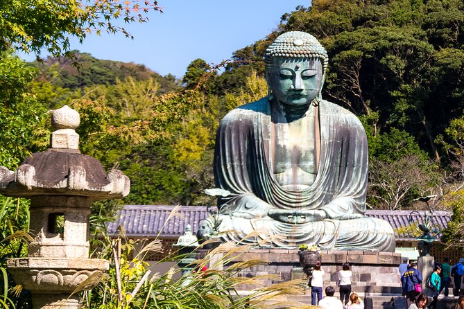 Nara Todaiji Kasuga Taisha Private Full Day Tour From Kyoto - Key highlights before you go