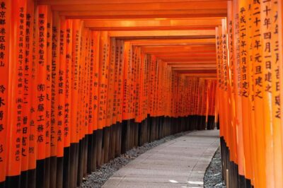 One Day Private Customized Self-Guided Tour in Kyoto - Price and logistics: what $509 buys you in Kyoto terms