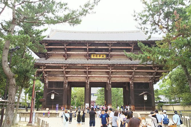 One-Day Walking Tour of Amazing 8th Century Capital Nara - Quick take: what makes this Nara day work