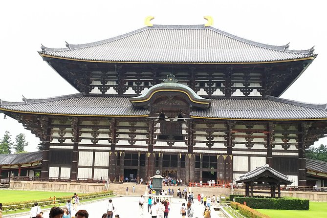 One-Day Walking Tour of Amazing 8th Century Capital Nara - The 8-hour plan: how it saves time (and stress)