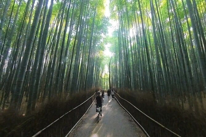 ONLY YOU in the Bamboo Forest! 4 hours E-bike tour with a local - Why an e-bike works so well in Arashiyama