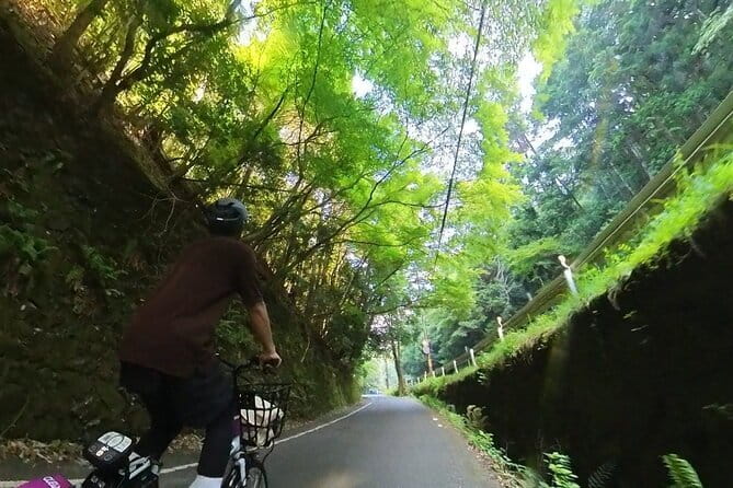 ONLY YOU in the Bamboo Forest! 4 hours E-bike tour with a local - Stop 1 and the start vibe: from Arashiyama Station into the green