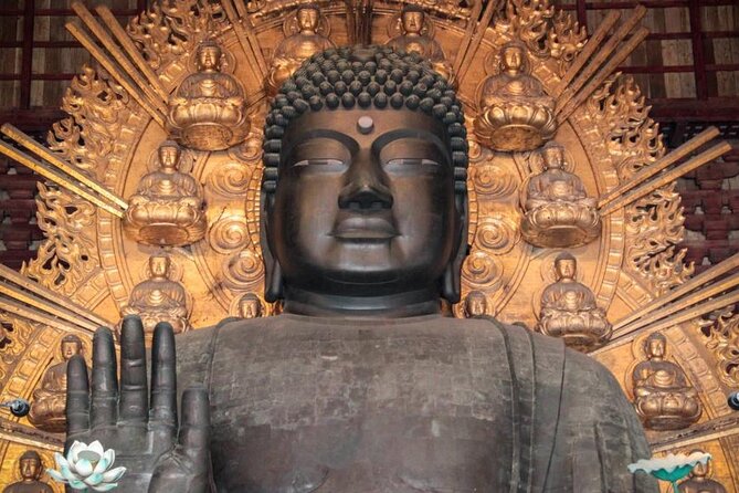 Osaka and Nara Day Tour with Private Transportation - Todai-ji Temple: Walking Into the Great Buddha Hall