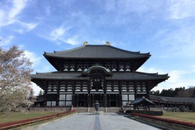 Osaka and Nara Day Tour with Private Transportation - Nara Park and Deer Encounters: More Than a Photo Op