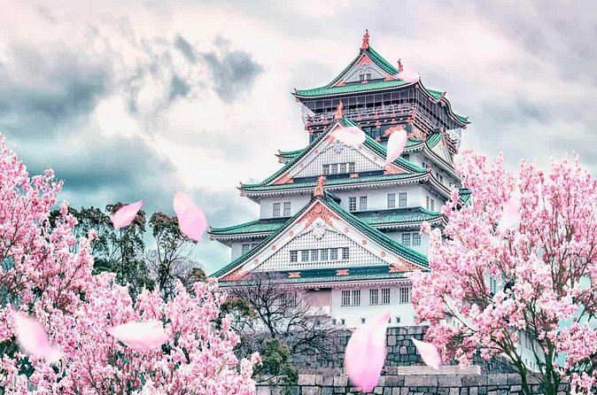 Osaka and Nara Day Tour with Private Transportation - Your Private Guide Makes the Day Feel Easier