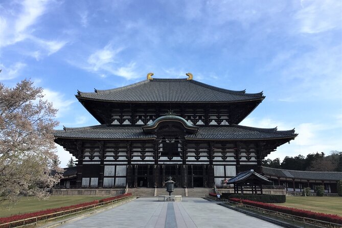Osaka and Nara Day Tour with Private Transportation - Nara Park and Deer Encounters: More Than a Photo Op